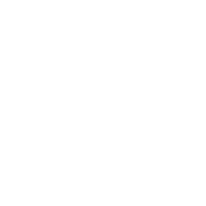 Access Mobile Logo