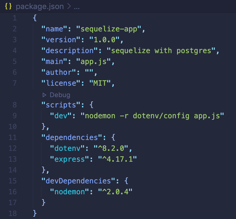 Package.json file
