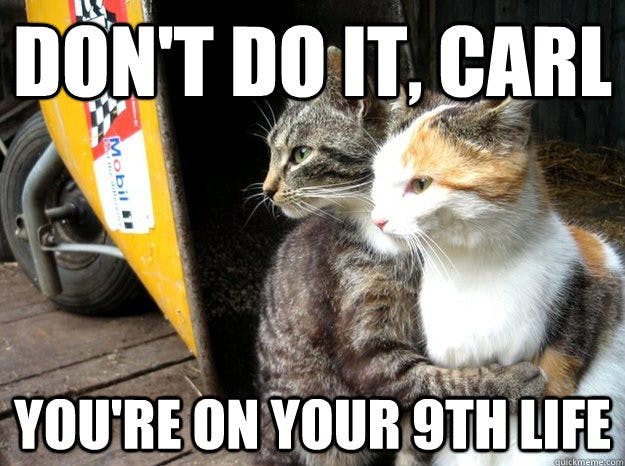Cat hugging another cat with Don't do it Carl! You're on your 9th life quote